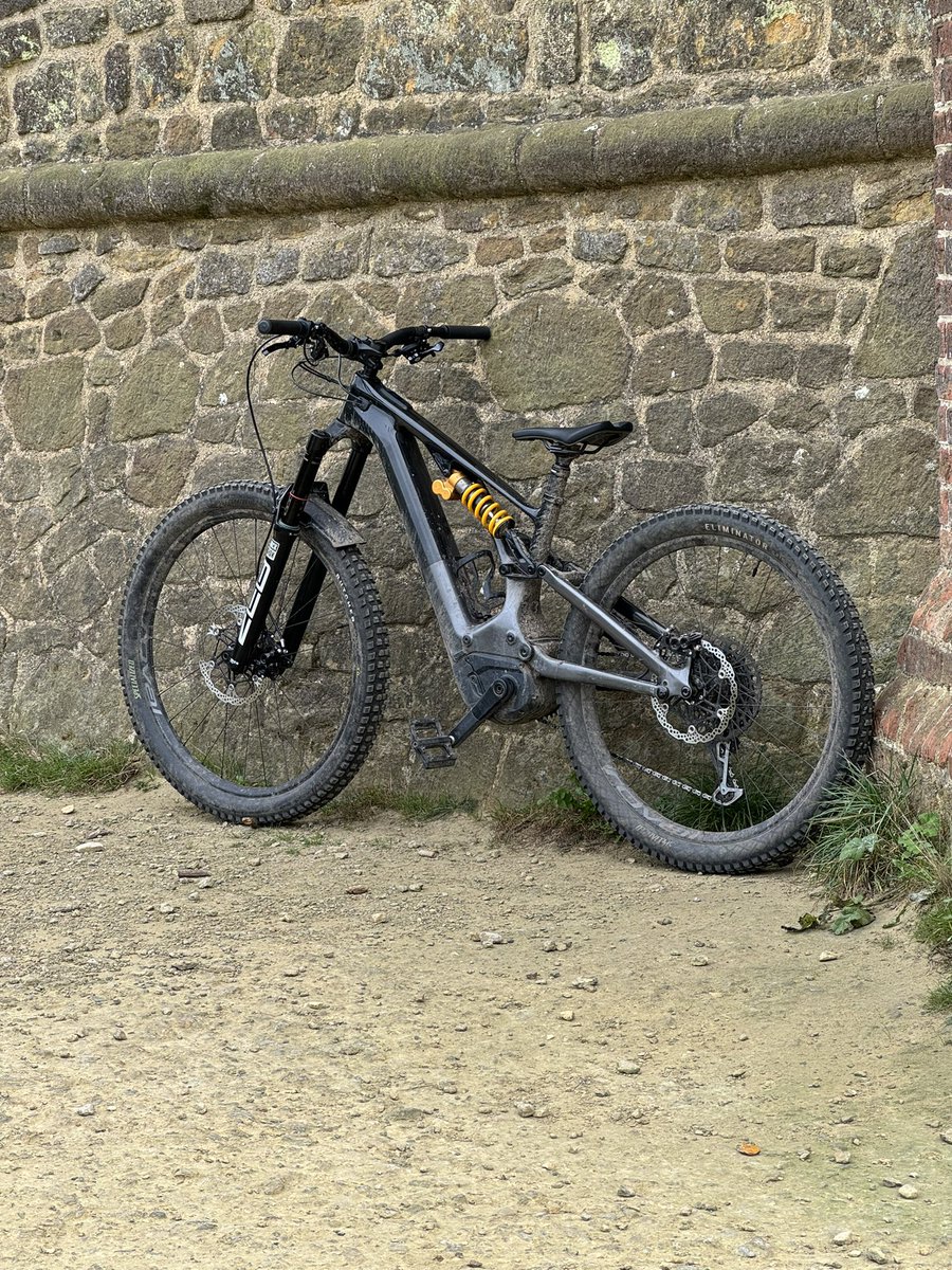 Jamie + Lion tweet media