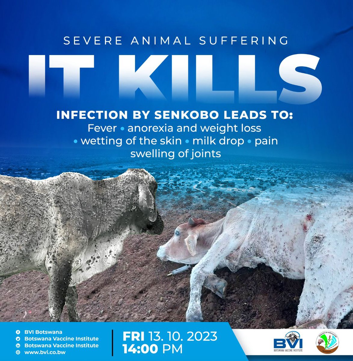 𝐉𝐎𝐈𝐍 𝐔𝐒 𝐈𝐍 𝐅𝐈𝐆𝐇𝐓𝐈𝐍𝐆 𝐒𝐄𝐍𝐊𝐎𝐁𝐎-𝐓𝐎𝐆𝐄𝐓𝐇𝐄𝐑 𝐖𝐄 𝐂𝐀𝐍 𝐒𝐀𝐕𝐄 𝐎𝐔𝐑 𝐂𝐀𝐓𝐓𝐋𝐄

On Friday join Ministry of Agriculture, BVI and other local leaders in Boro 2, Ngamiland to launch a pioneering solution to combat the Senkobo cattle disease.