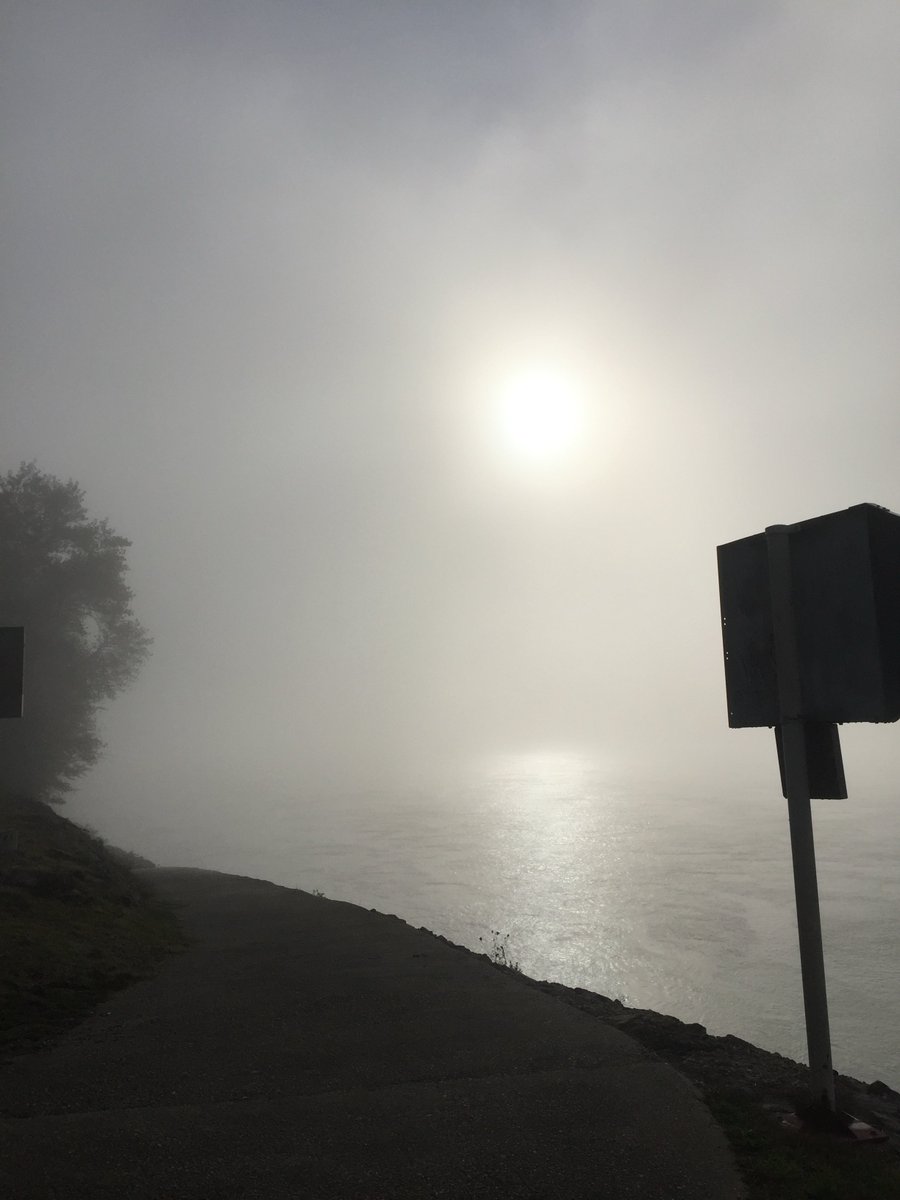733gerald's tweet photo. Übrigens  - es ist endlich herbstlich - die mit Abstand schönste Zeit zum Laufen  - also raus mit euch! https://t.co/NtHKNhChFh
