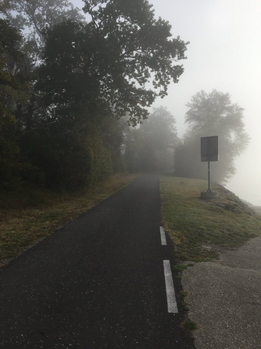 733gerald's tweet photo. Übrigens  - es ist endlich herbstlich - die mit Abstand schönste Zeit zum Laufen  - also raus mit euch! https://t.co/NtHKNhChFh