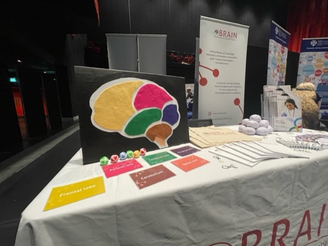 ✨ We're excited to be here at the #ResearchWales23 conference at <a href="/ArenaSwansea/">Swansea Building Society Arena</a>. Come along and pin the ball on the brain to see what you know!