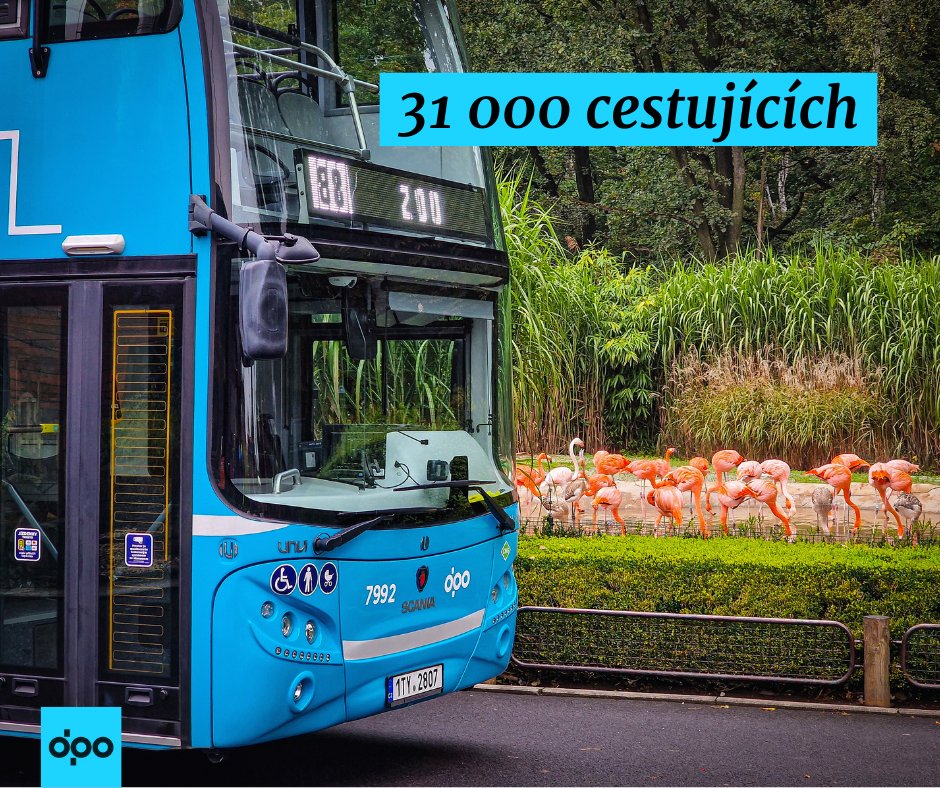 Doubledeckery za sebou mají na lince č. 88 rekordní sezónu.👏 Za plameňáky odvezly krásných 31 000 návštěvníků. 🦩🚏 
Těšíme se příští rok na stejné trase! Do té doby budou doubledeckery jezdit opět na vybraných spojích linky č. 78 a 20.
➡ bit.ly/474QHoD