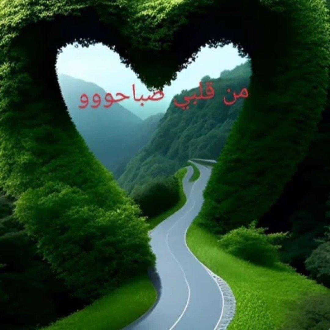 46eb5ca01282425's tweet photo. #صورة_ملف_شخصي_جديدة https://t.co/LgITuWc2ia