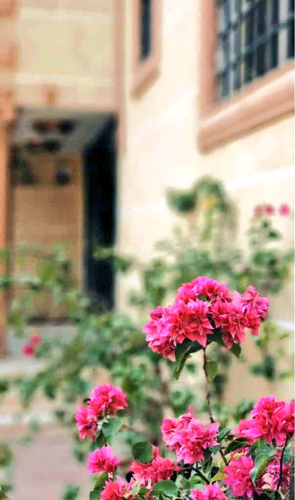 🕊❤🕊عـش حياتك كالورود ...
 لها عطـر جميل
تسقـى بطيبة القلب... وتعيش بنور الأمـل
تـزرع البسمة على الشفاه...
 والسعادة في القلب🕊❤🕊.

#مساء_الخير_والسعاده_للجميع