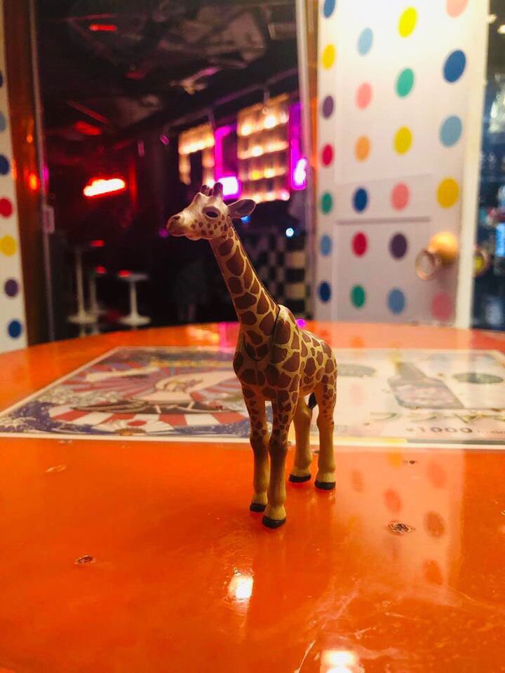kobalife's tweet photo. キリンブラザーズ。 https://t.co/iqgK5jiH6u