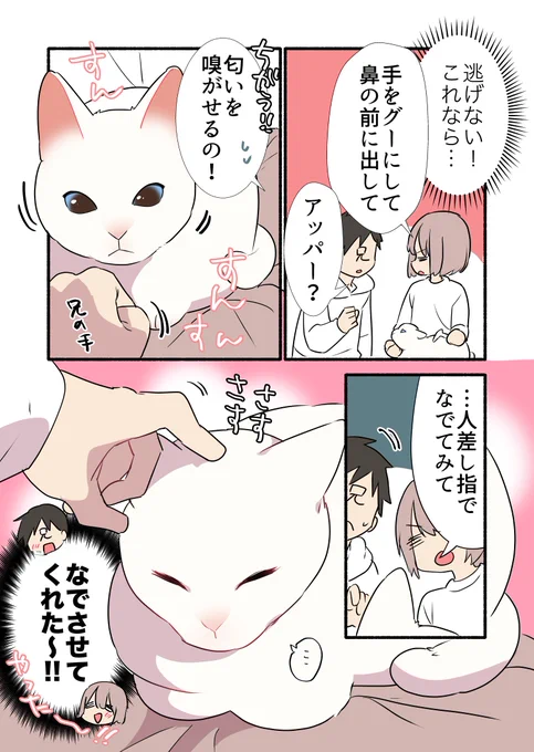 兄に懐かなかった甘えんぼ猫の話(3/3) #漫画が読めるハッシュタグ