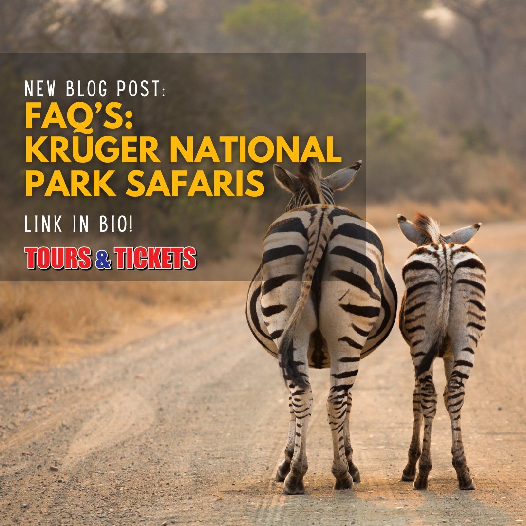 BLOG: FAQ's About Kruger Park Safaris🐾🦁
Looking to go on safari in the Kruger Park? Read this blog for answers to our most frequently safari-related questions!
🔗Read MORE: bit.ly/FAQs-for-KNP-S…   
#travelblog #southafricanblogger #krugerpark #toursticketsSA #safari #big5