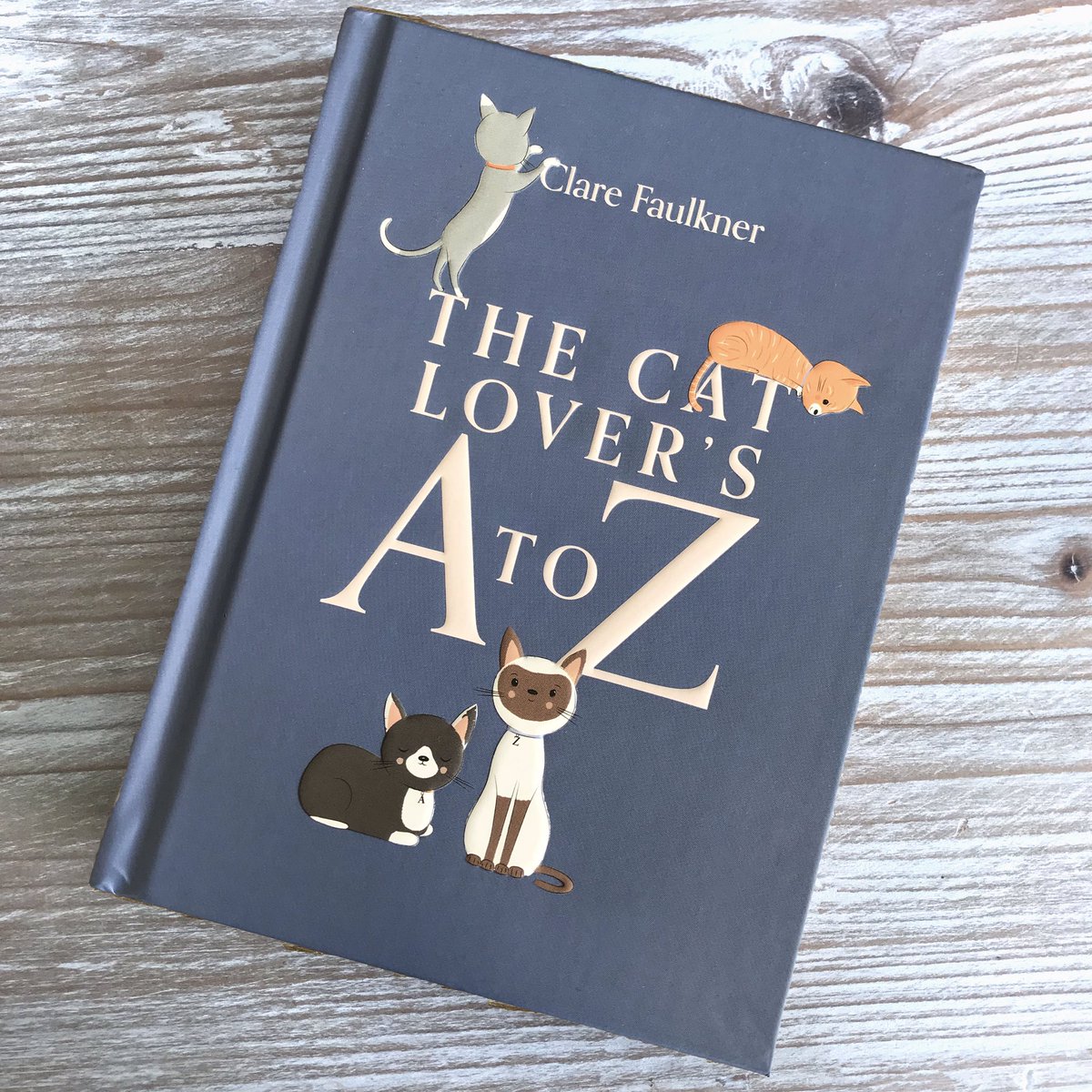 smalldotsdesign's tweet photo. Published today! Out now and available to order, the purrfect gift for cat lovers! 
#catsoftwitter #catlover #CatsOnTwitter #smalldots #clarefaulkner #catgift #fluffyfursday https://t.co/epilcsNNF9