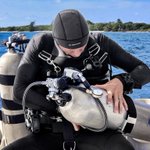 Photo by PADI Platinum Course Director SJA (@stephenjaynsley)