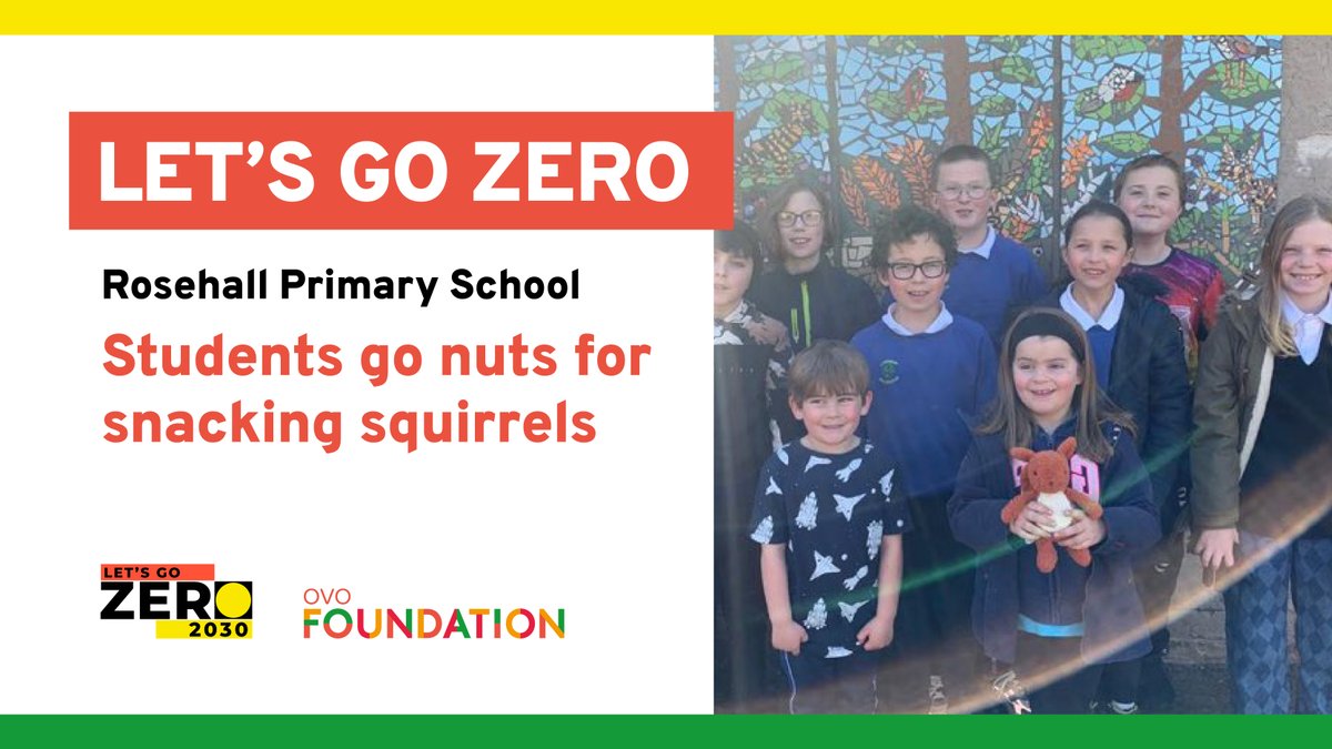 LetsGo_Zero's tweet photo. 🌰🐿️Big dreams in small places!
With just 12 students, Rosehall Primary is making waves with their #OVOFoundation Nature Prize!
Their mission? Boost the local red squirrel population🌲
They are teaching students to cherish wildlife + be resource-savvy💚
https://t.co/qVHLNzDs3o https://t.co/hkHIit8KcZ