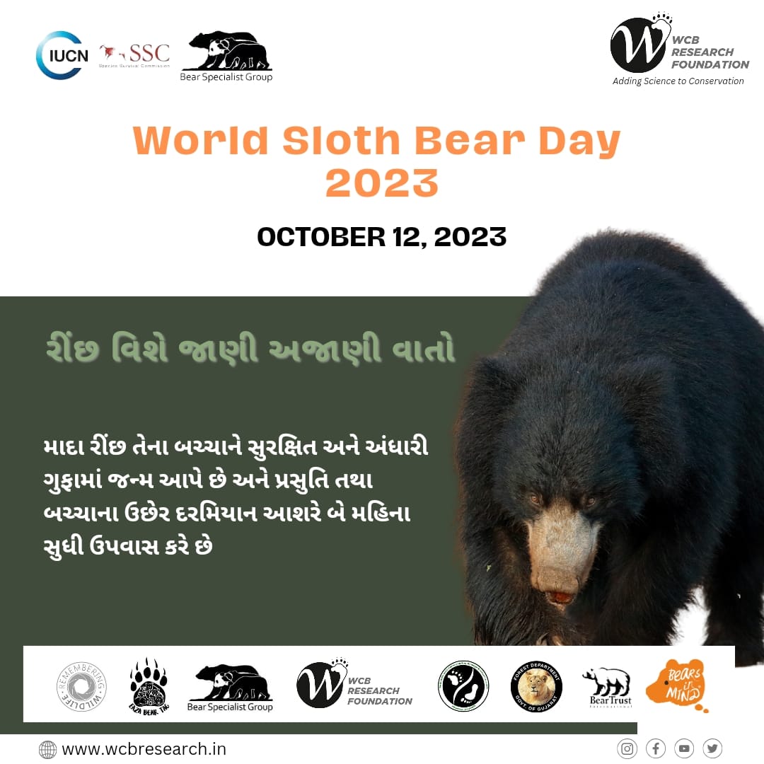 #8 Some unknown facts of sloth bear 

<a href="/BearTrust/">Bear Trust International</a>
<a href="/GujForestDept/">GujaratForestDept</a>
<a href="/IUCNssc/">IUCN Species Survival Commission</a>
<a href="/RemembrWildlife/">Remembering Wildlife</a>
<a href="/bearbiology/">Jennifer Richardson👄♀</a>
<a href="/Berenbos/">Bears in Mind</a>

#worldslothbearday 
#Slothbear #bears 
#wildlife