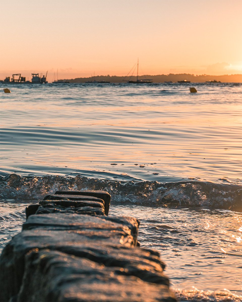 justnomadd's tweet photo. Memories from Paatch Cap Ferret - September 2023 🇫🇷

1. sunset vibes at the beach with Sami
2. cap Ferret harbor sunset
3. bird view at Plage de l'Horizon
4. sunrise with local boats

🌅🏄🏼🤙⛵
 #coliving #coworking #remotework #capferret #arcachon https://t.co/E36j2InSxi