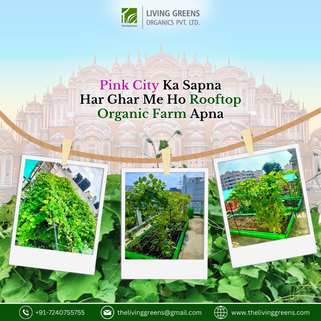 living_greens's tweet photo. Jaipur, Get Ready to Live the 'Har Ghar Organic' Dream with Living Greens' Portable Farming System! Grow Organic, Anywhere, Anytime!
Visit Our Site- https://t.co/lS6faQBI8t
#thelivinggreens #livinggreensorganics #urbanorganicfarming #organiceaters #schoolfarming #Jaipur #GardenX https://t.co/4mZXWsJmFM
