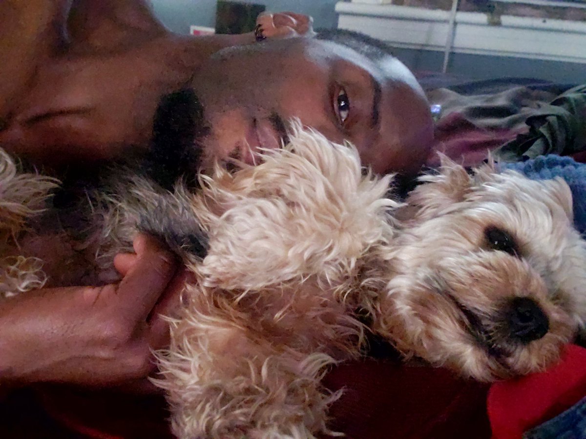 DrewTheoloneus's tweet image. #ThePrincessChronicles #homeflow