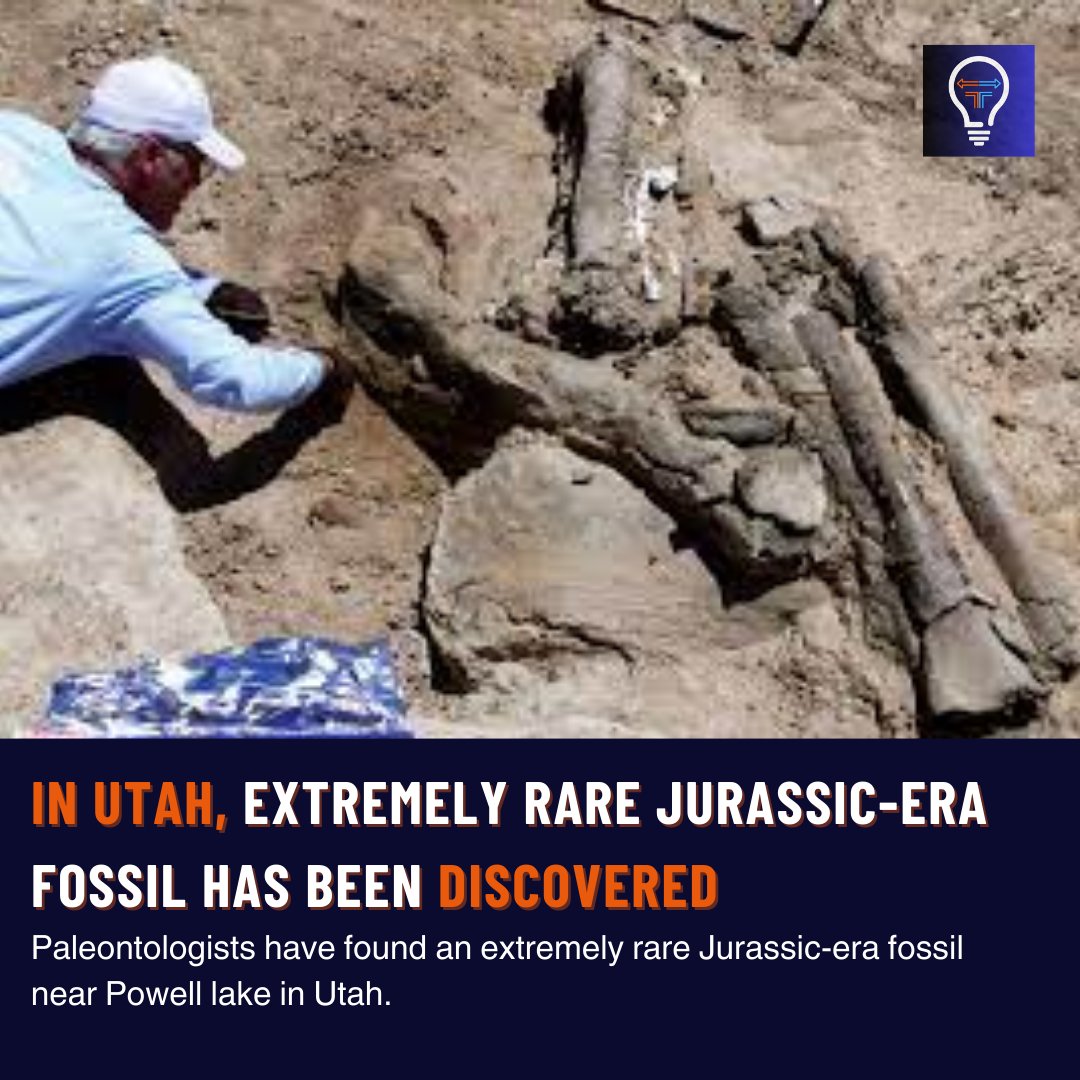 fiscalfuel's tweet photo. #Utah #paleontologists found rare #Jurassic fossils near #LakePowell. #Bones and #teeth, unique #tritylodontidbonebed in #Navajo Sandstone, offer #insights into the area's #fossil #history, per #nationalpark authorities.
#fiscalfuel #fossil #Discovery #Pioneers #bonebed #NEWS https://t.co/vTjvUVh9bD