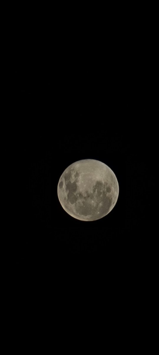 JamforMoney's tweet photo. Posting a picture of the moon every night night #22

#moon  #moonpics #moontonight
#moon #moonlight #love #night #photography #nature #luna #sky #art #stars #fullmoon #space #sun #photooftheday #nasa #moonphotography #instagood #nightsky #sunset #astronomy #moonlover https://t.co/qOpB3it485