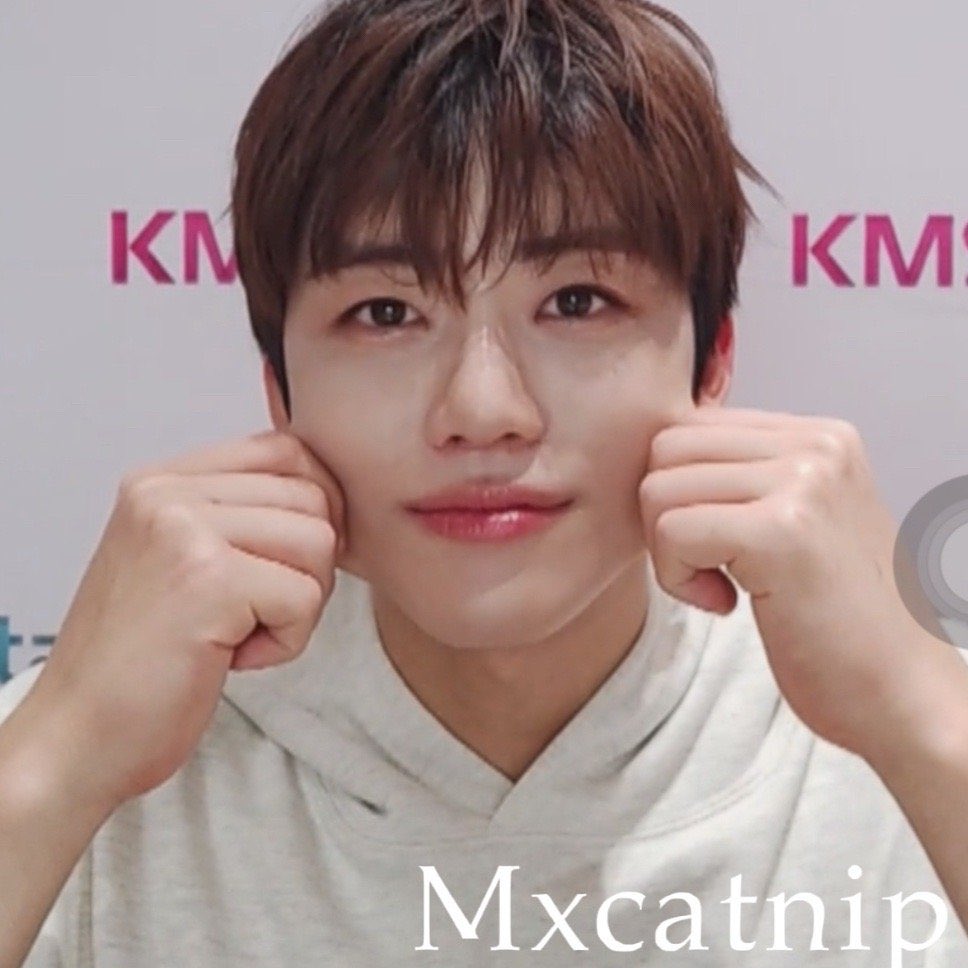 jaemin and his cheeks  🍞🤏🏻