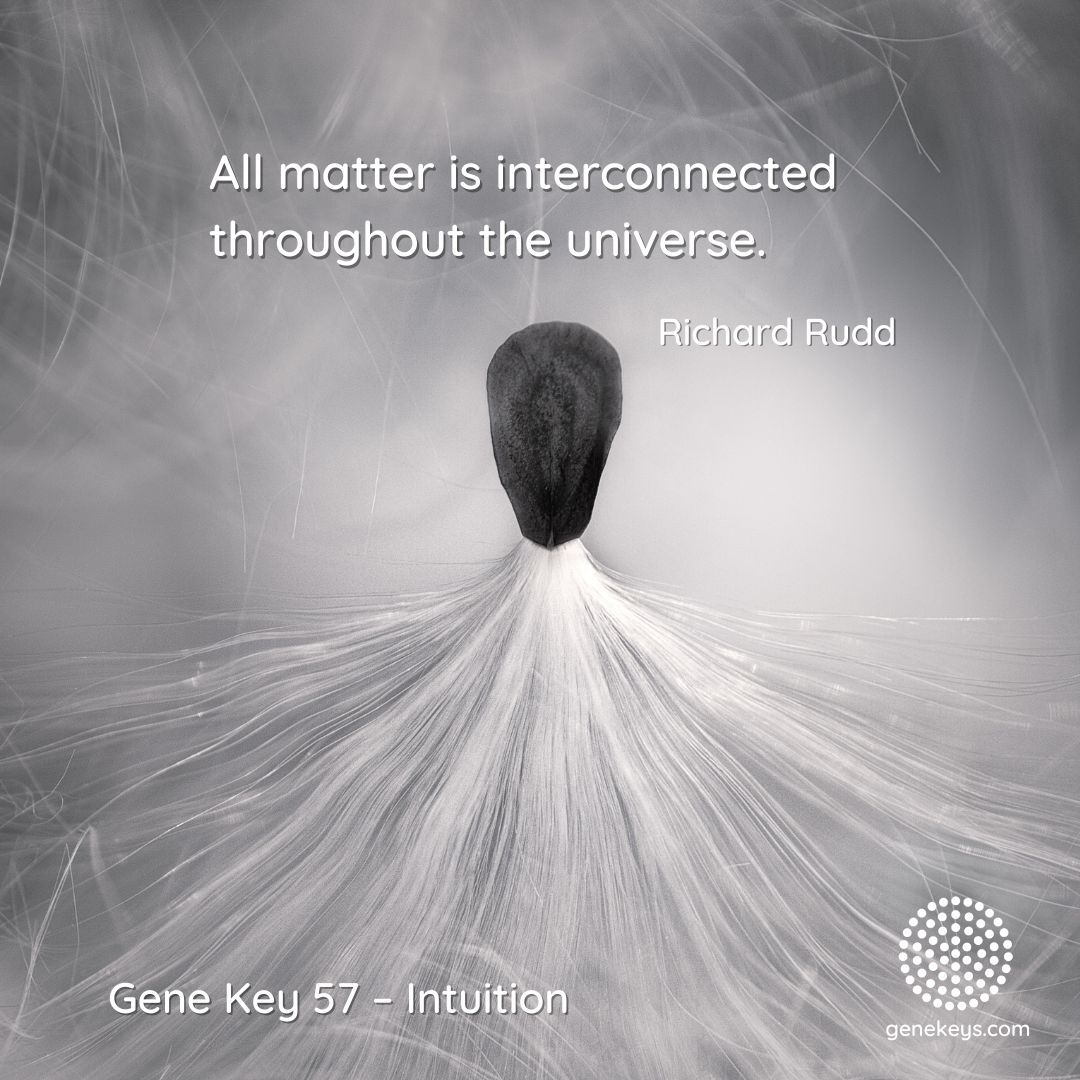 gene_keys's tweet photo. The Pulse – Oct 8 to 13 Oct – Gene Key 57
Every six days, we will contemplate the current Gene Key of the week together, and each audio will be available for free to listen to until it transitions to the next key.
https://t.co/kwo7PIYl9L
#genekeys #genekey57 #clarity https://t.co/69e4n3SICY
