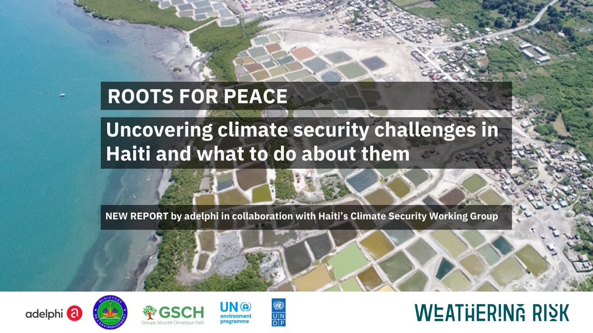 🆕 #WeatheringRisk study #RootsforPeace identifies 5 climate security pathways for #Haiti 🇭🇹 &amp; proposes a new approach to tackle them by integrating adaptation &amp; environmental protection with peacebuilding measures.

What's next? Read more: adelph.it/WRHaiti