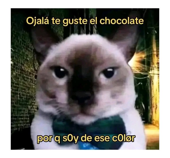 Sebasti29384631's tweet photo. Chocolate oscuro https://t.co/RxFB43pQNz