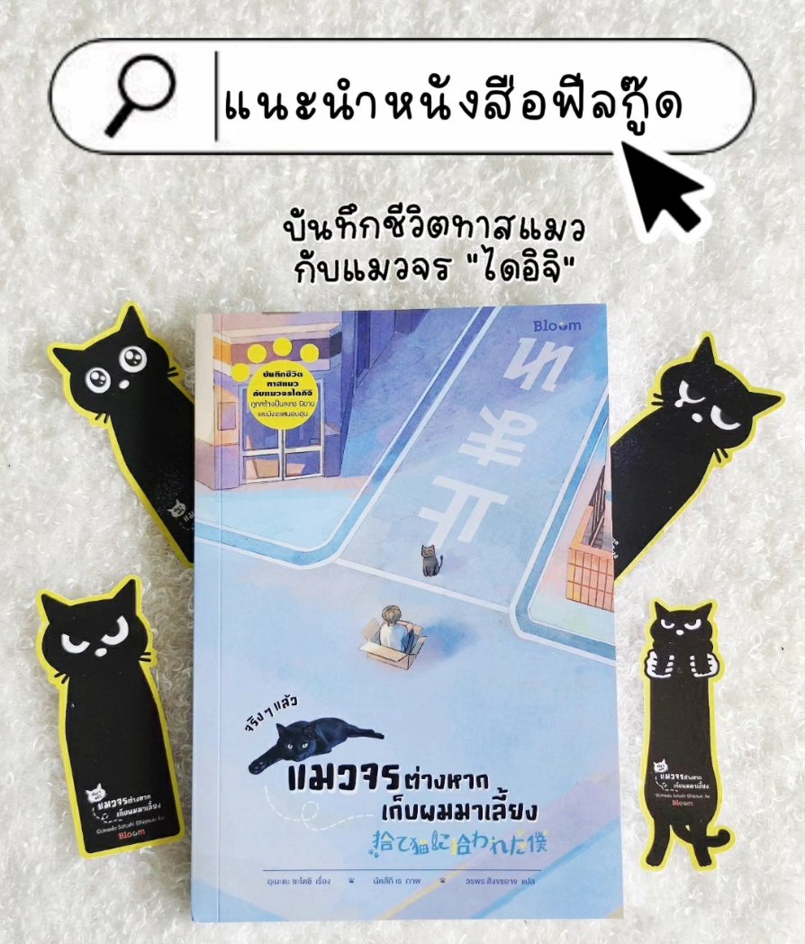 lininlamoon's tweet photo. จริงๆแล้วแมวจรต่างหากที่เก็บผมมาเลี้ยง 
รีวิวแบบเต็ม 
Lemon8 : แมวป่วนชวนอ่าน 
IG : แมวป่วนชวนอ่าน
#งานมหกรรมหนังสือระดับชาติครั้งที่28
#งานหนังสือ #หนังสือมือ2 #หนังสือมือสองราคาถูก https://t.co/lJ9q4mOG08