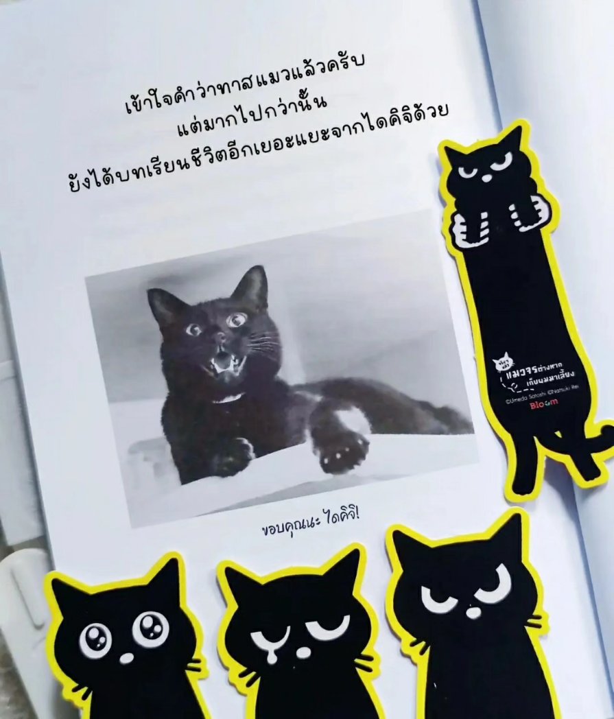 lininlamoon's tweet photo. จริงๆแล้วแมวจรต่างหากที่เก็บผมมาเลี้ยง 
รีวิวแบบเต็ม 
Lemon8 : แมวป่วนชวนอ่าน 
IG : แมวป่วนชวนอ่าน
#งานมหกรรมหนังสือระดับชาติครั้งที่28
#งานหนังสือ #หนังสือมือ2 #หนังสือมือสองราคาถูก https://t.co/lJ9q4mOG08