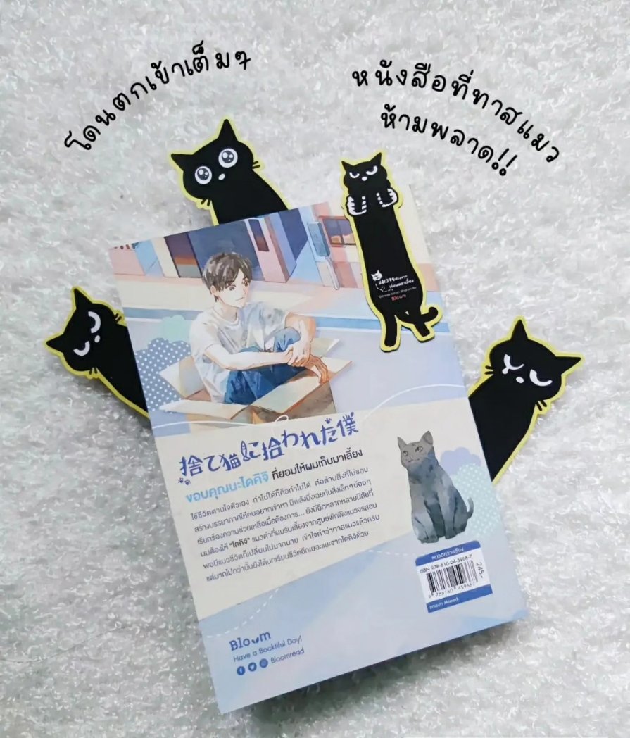 lininlamoon's tweet photo. จริงๆแล้วแมวจรต่างหากที่เก็บผมมาเลี้ยง 
รีวิวแบบเต็ม 
Lemon8 : แมวป่วนชวนอ่าน 
IG : แมวป่วนชวนอ่าน
#งานมหกรรมหนังสือระดับชาติครั้งที่28
#งานหนังสือ #หนังสือมือ2 #หนังสือมือสองราคาถูก https://t.co/lJ9q4mOG08