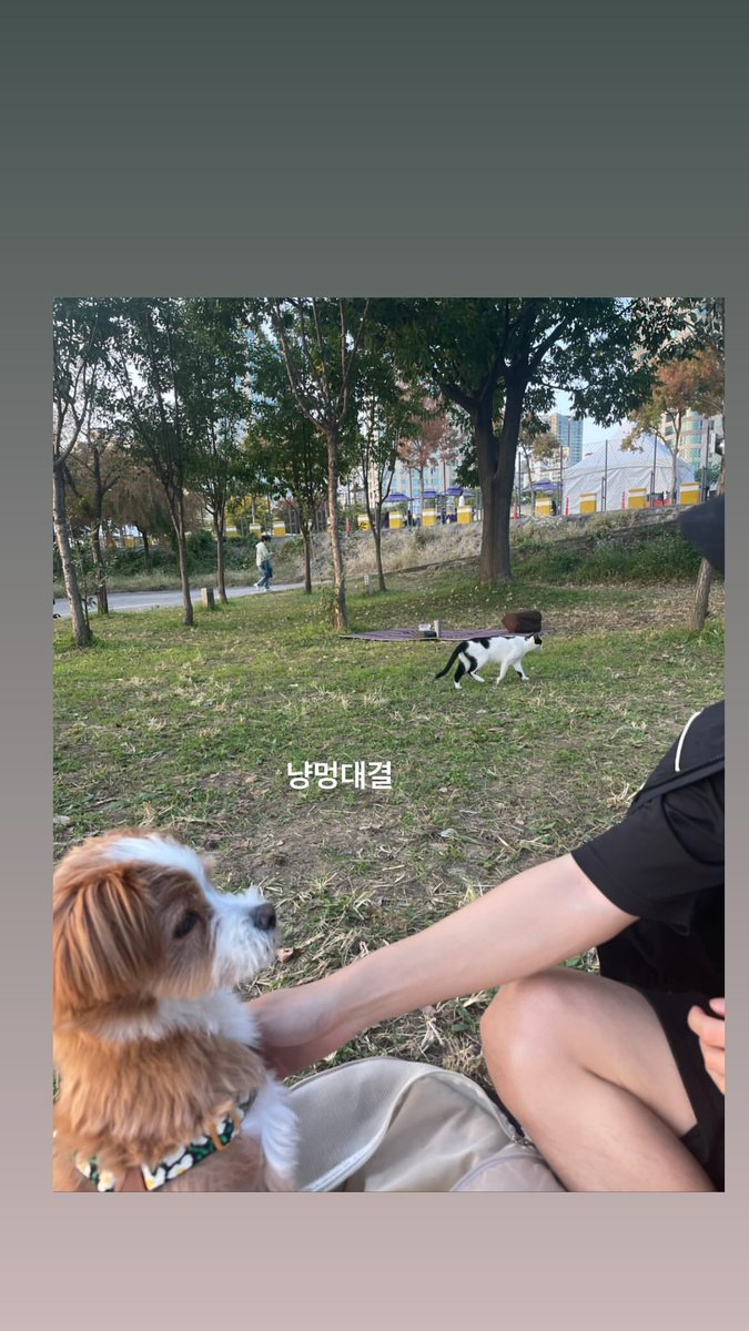 daily_yoon's tweet photo. [#룽포메이션]

정시현님 인스타스토리 속 #윤지성 #윤베로 https://t.co/dQmSh5pfok