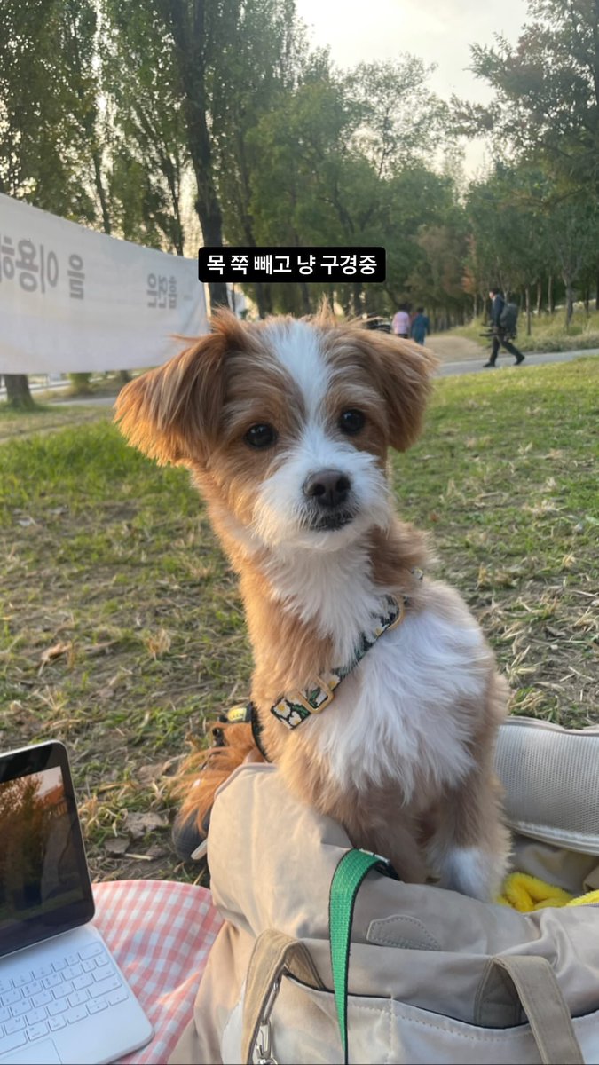 daily_yoon's tweet photo. [#룽포메이션]

정시현님 인스타스토리 속 #윤지성 #윤베로 https://t.co/dQmSh5pfok