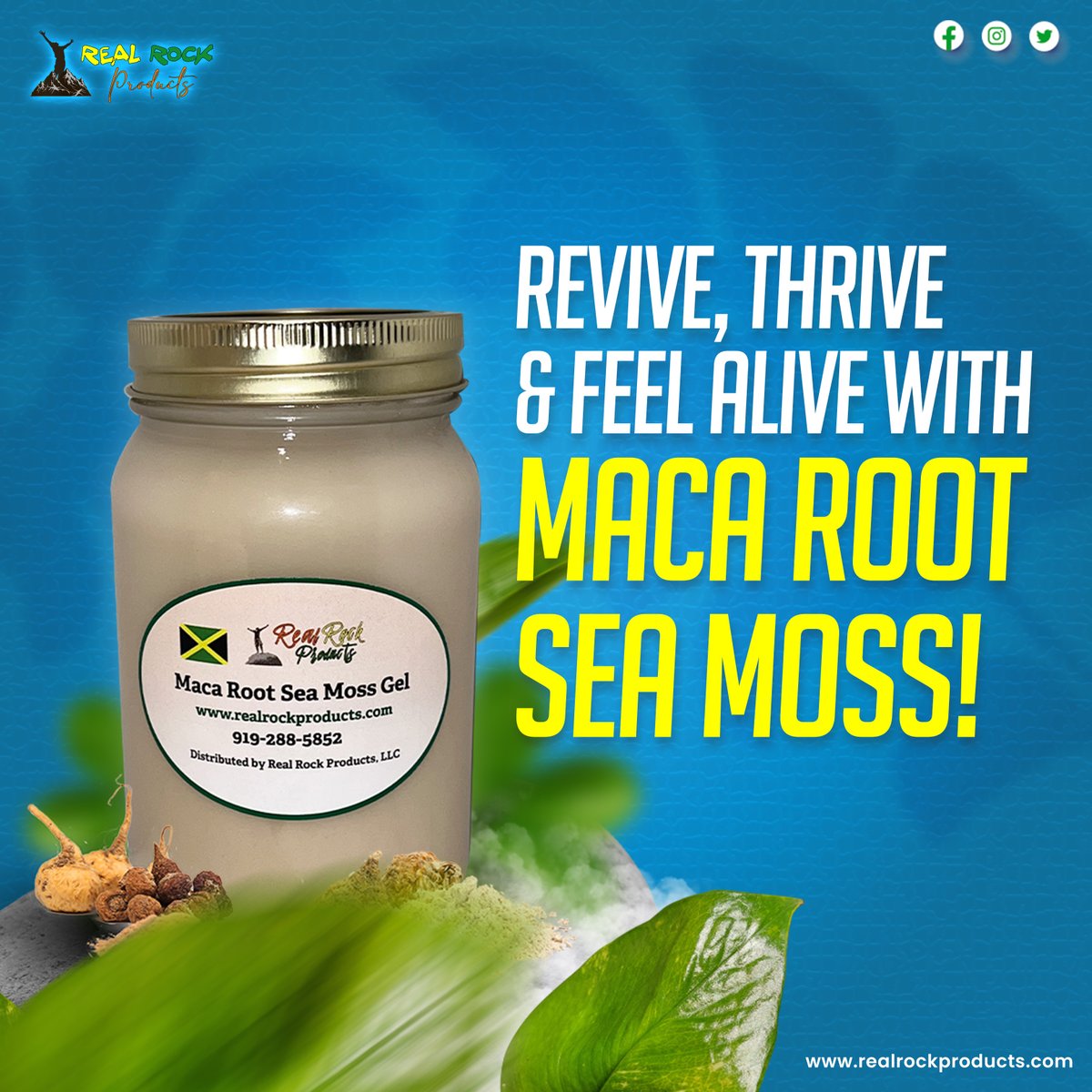 realproductz's tweet photo. Energize your body and mind with our Maca Root Sea Moss Gel! Packed with natural goodness, this dynamic duo fuels vitality and promotes overall well-being. 

Shop now!
https://t.co/yIfYIAMoYs
.
.
.
#realrockproducts #seafood #weightlosstips #Jamaica #castor #gel #lemongrass https://t.co/3XrMJSnbDz