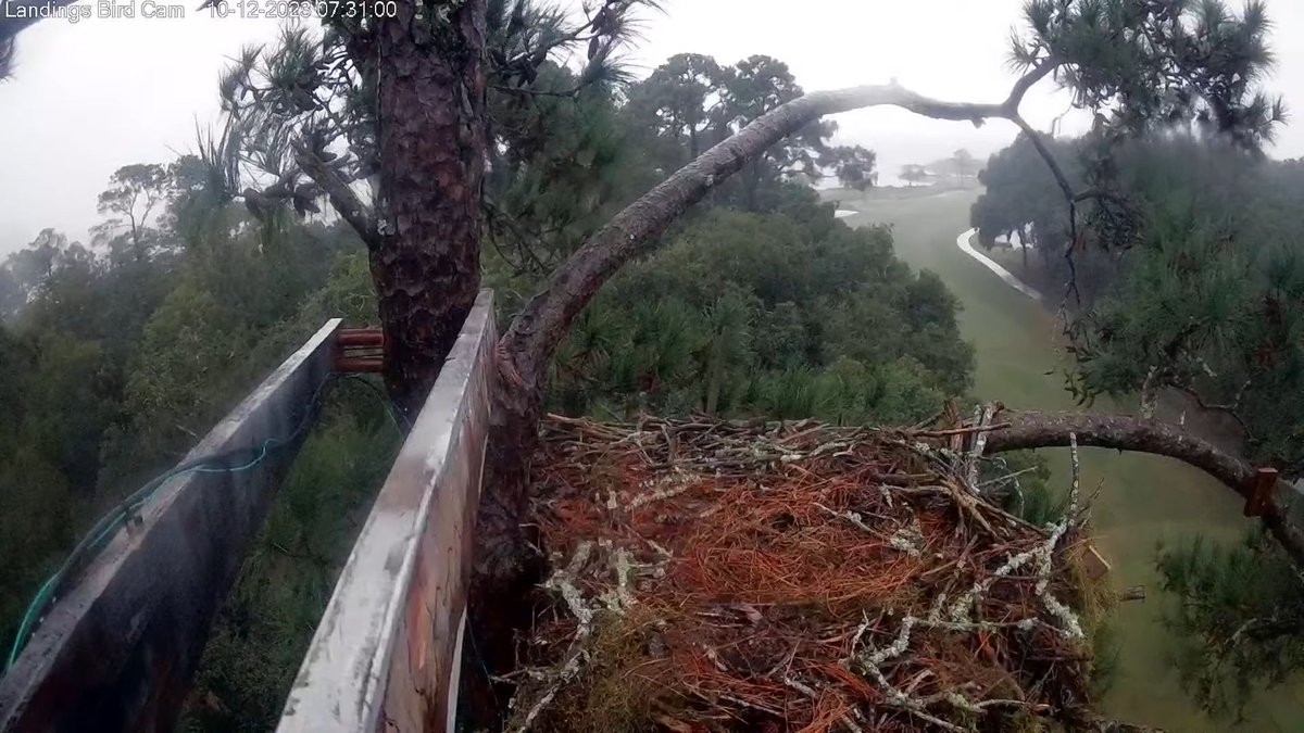 7:31 10/12 A rainy, windy morning in Savannah.