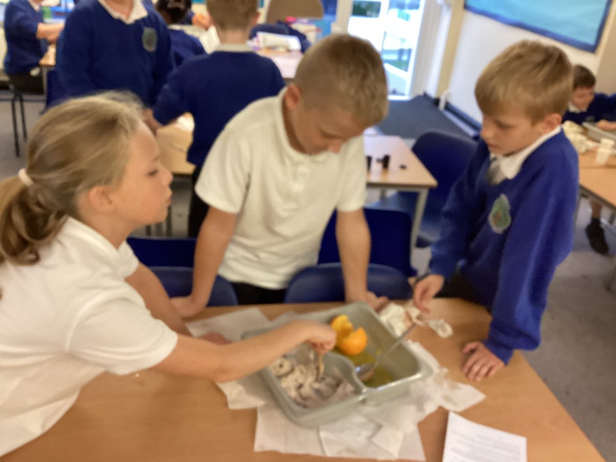 BPSYearFive tweet media