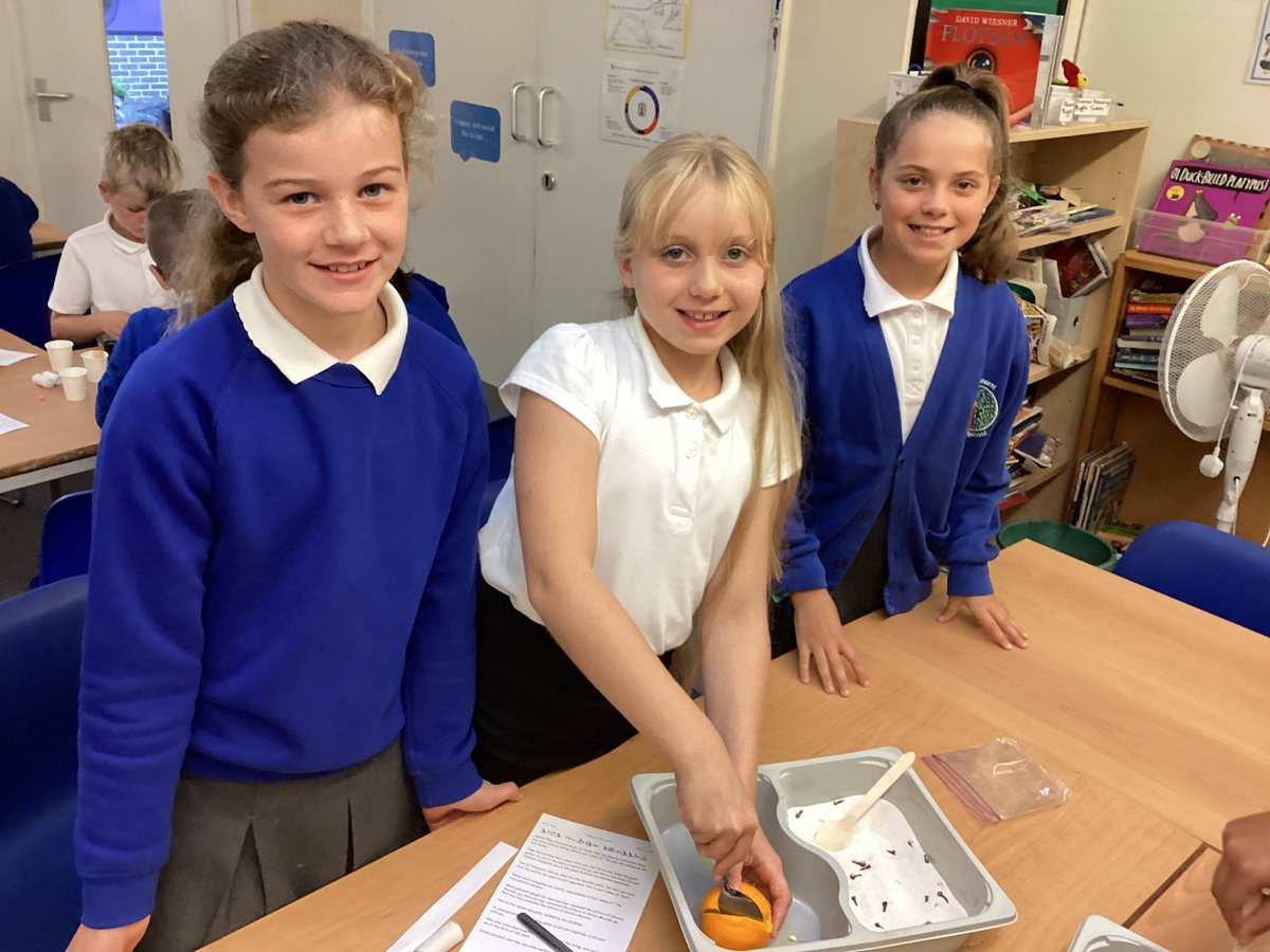 BPSYearFive tweet media
