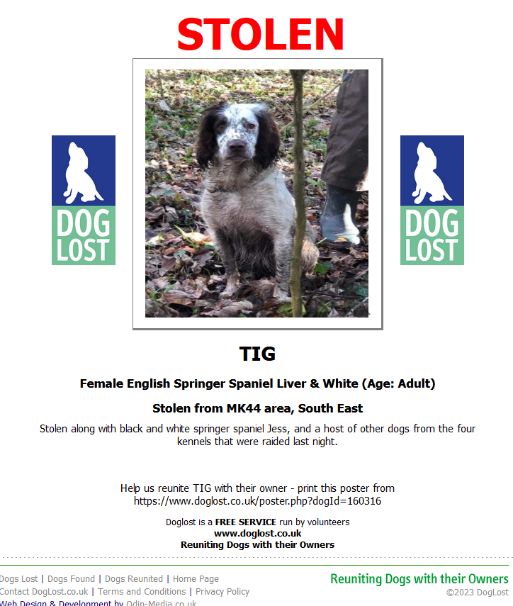 blacklab115's tweet photo. #Stolen #FindTig MK44 area back in 2020, kennels were targeted by dog thieves, Tig has never been found. Where is she? https://t.co/1JtSH2VEJT
