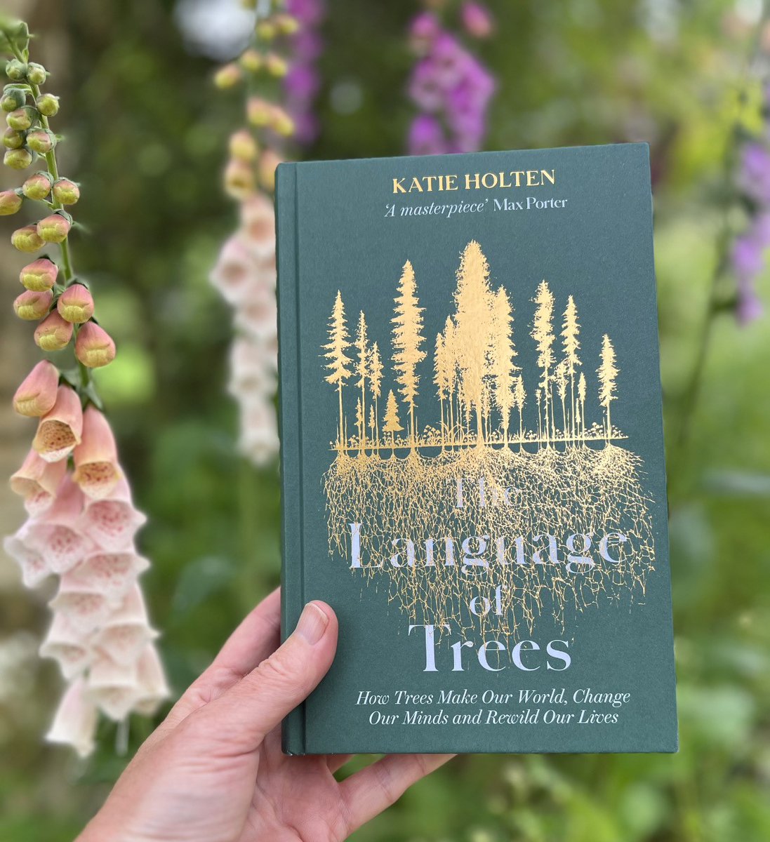 eandtbooks's tweet photo. What is your #NextIrishRead? We recommend @Katieholten's beautiful book #TheLanguageOfTrees, a stunning international collaboration that reveals how trees make our world, change our minds and #rewild our lives – from root to branch to seed. @BooksellingI #IrishBookADay #trees https://t.co/UqYejXOw6M