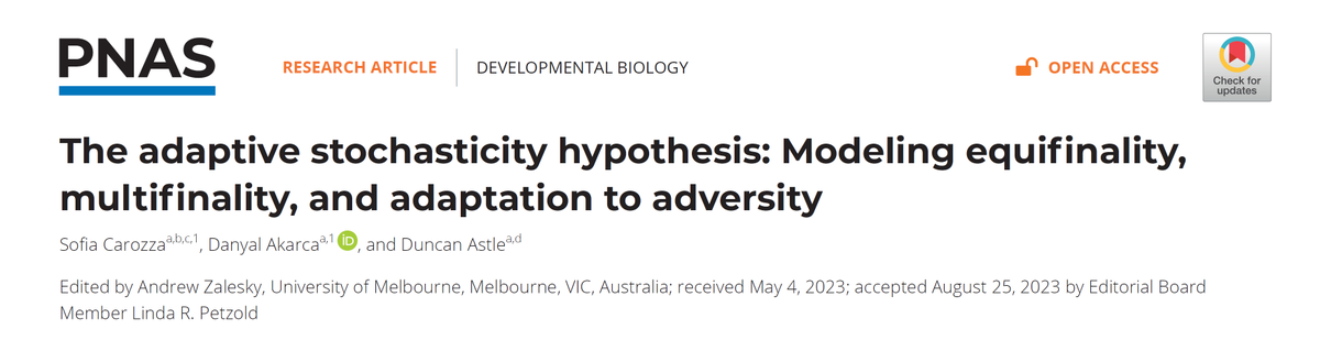 Duncan Astle tweet media