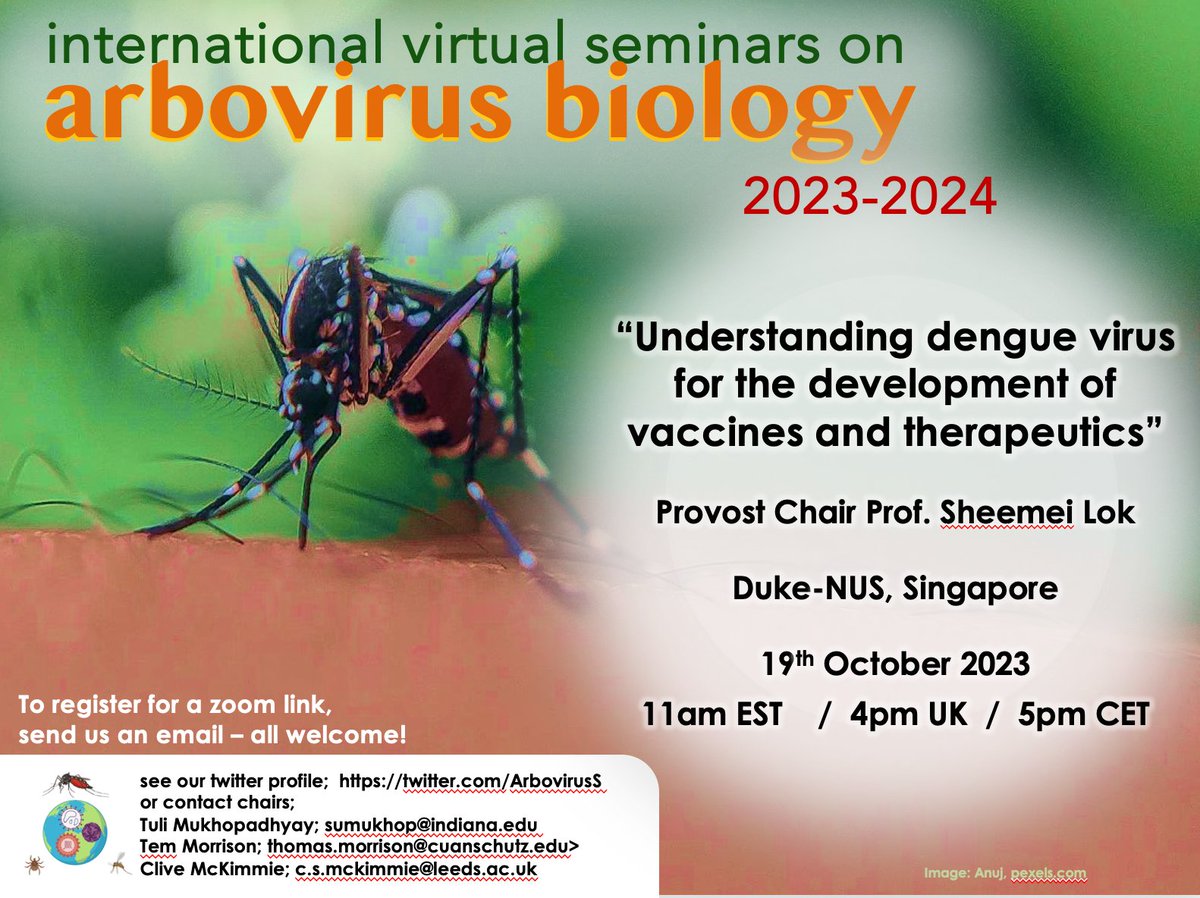 Launching our seminar series is Prof Sheemei Lok @LokShee from @dukenus Singapore, who has used structural biology approaches to define; how #antibodies neutralise #DENV; how virus assembles; structure of #NS1 a key pathogenic agent in severe dengue. All welcome! #Please_RT!
