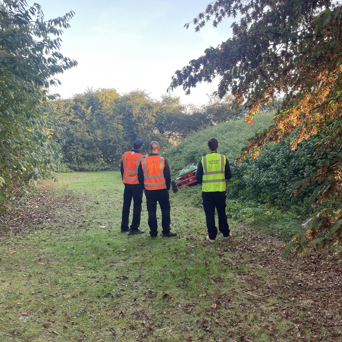 Landscape Services tweet media