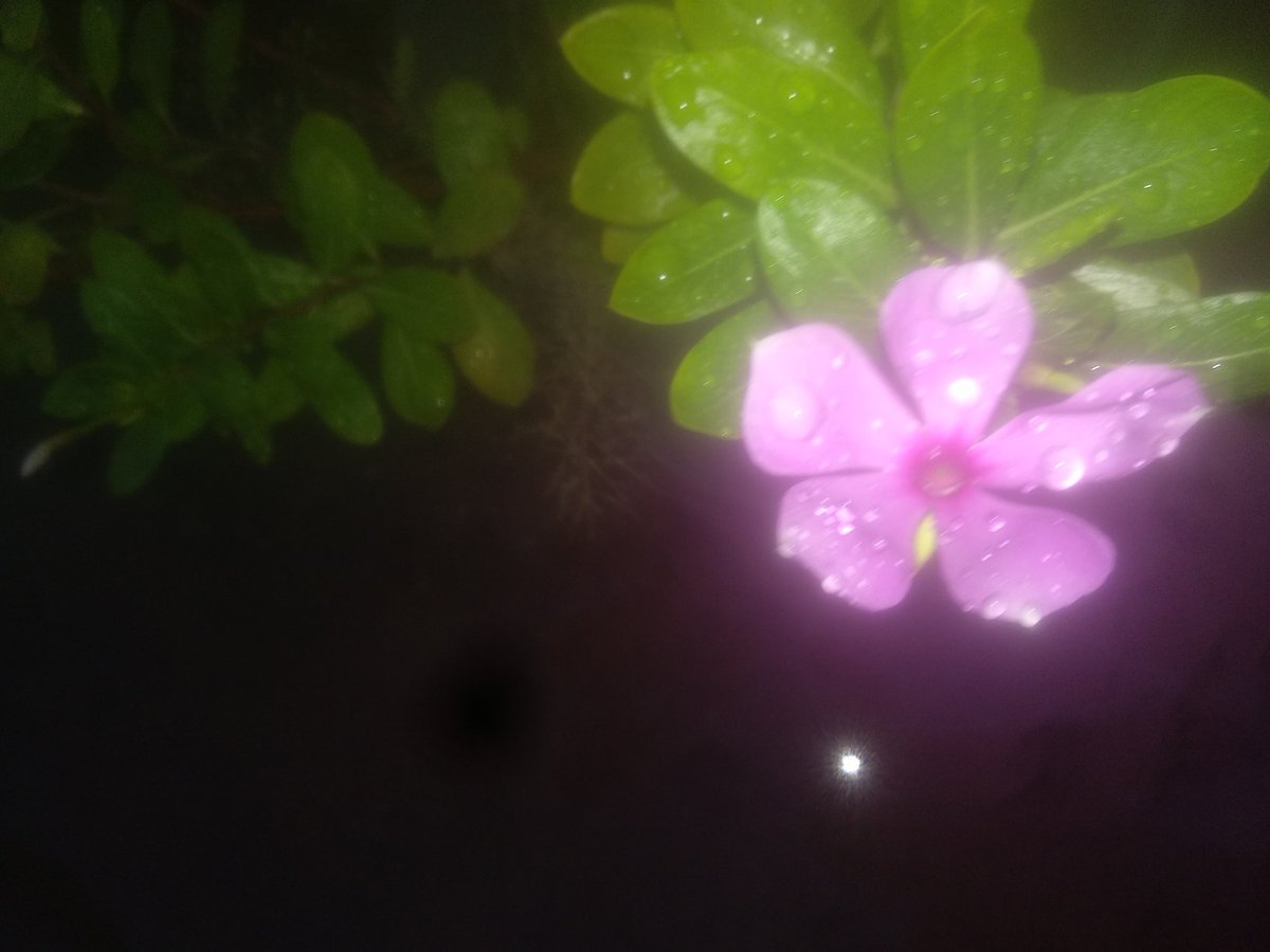 Jack (@hemavat61577315) on Twitter photo 