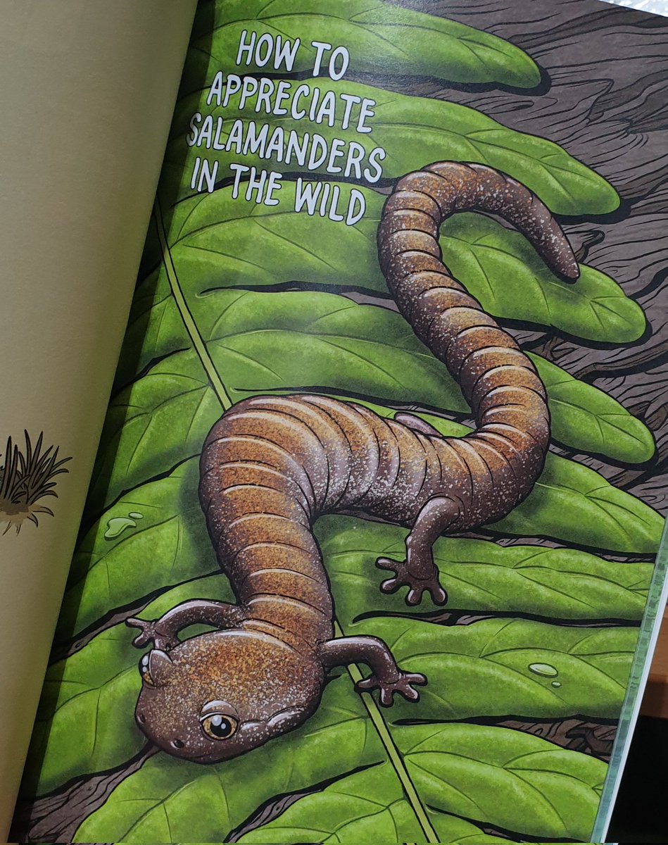 Darren Naish (@tetzoo) on Twitter photo One of the world's most extraordinary #books just arrived here: MOISTLY HARMLESS by <a href="/Blackmudpuppy/">Ethan Kocak - Left for Bluesky</a>. I'm in love with the book, it's amazing. Looks fantastic, is educational, and is just brilliant. I wrote the foreword! BUY IT.... endangeredartbooks.com #amphibians #salamanders One of the world's most extraordinary #books just arrived here: MOISTLY HARMLESS by <a href="/Blackmudpuppy/">Ethan Kocak - Left for Bluesky</a>. I'm in love with the book, it's amazing. Looks fantastic, is educational, and is just brilliant. I wrote the foreword! BUY IT.... endangeredartbooks.com #amphibians #salamanders