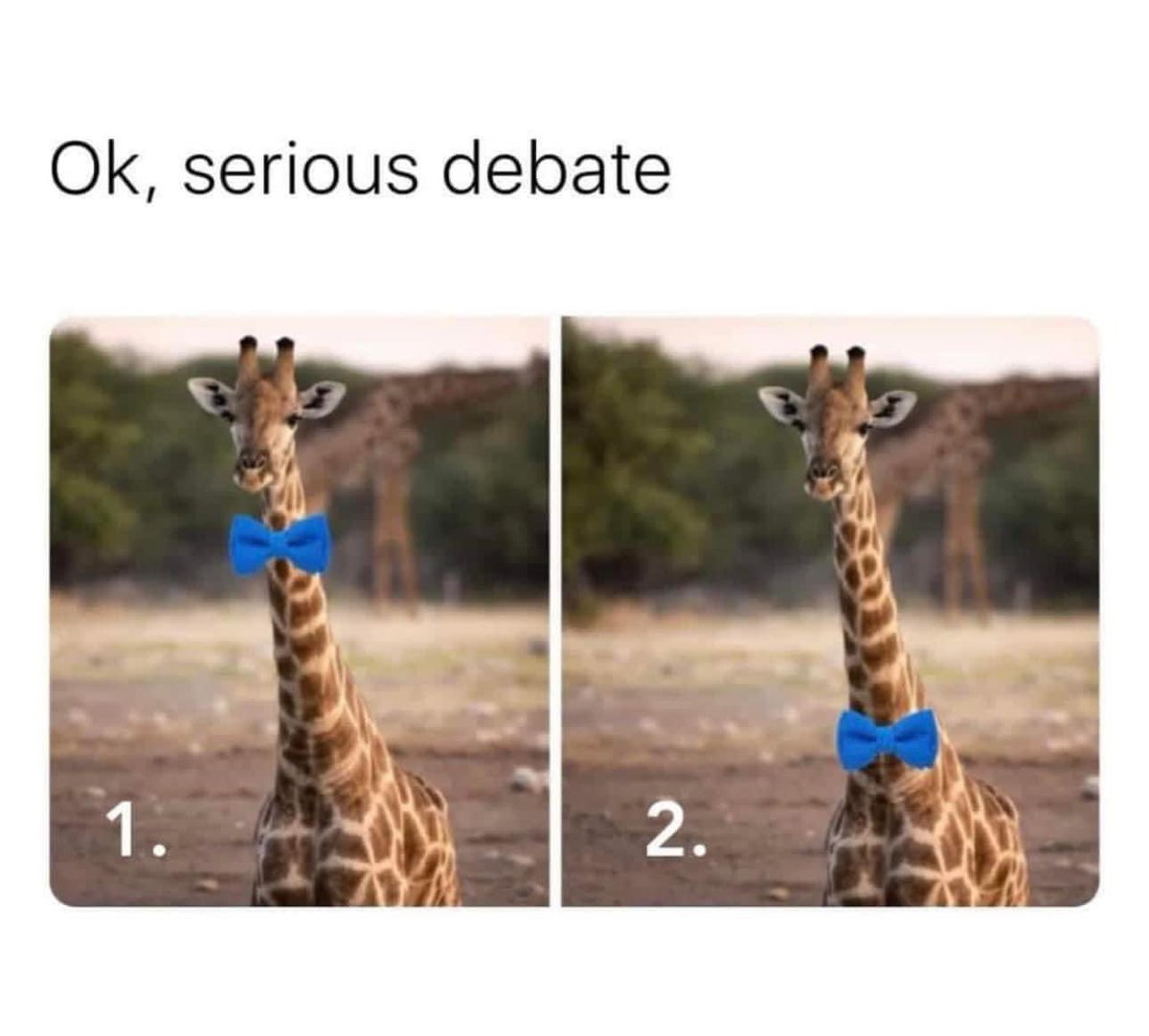 TinkerHell1020's tweet image. We all know there is only one correct answer…. #1 

#SeriousQuestion #Debate #DrinkWithTink #Shenanigans #Giraffe #Thursday #Bowtie