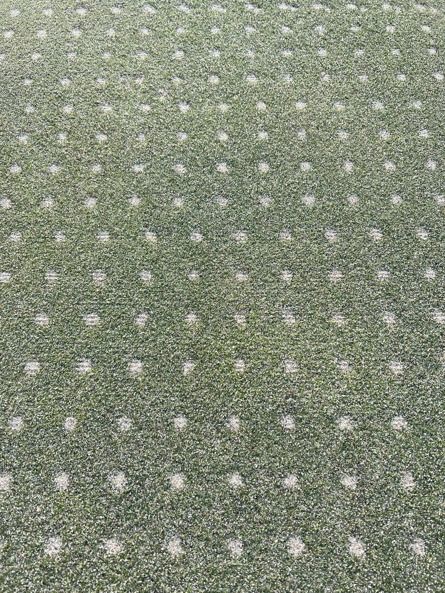 Brian Conlon tweet media