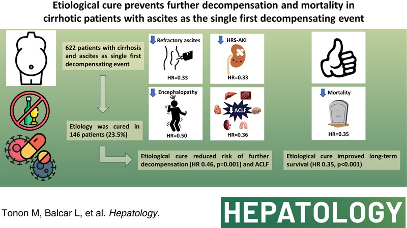 #HEP_highlights Etiological Treatment of Decompensated Cirrhosis: Is It Worthwhile?
Tonon L, Balcar L et al. In patients with cirrhosis and ascites as single first decompensating event, the cure of liver disease etiology represents a main treatment goal
shorturl.at/kszZ5