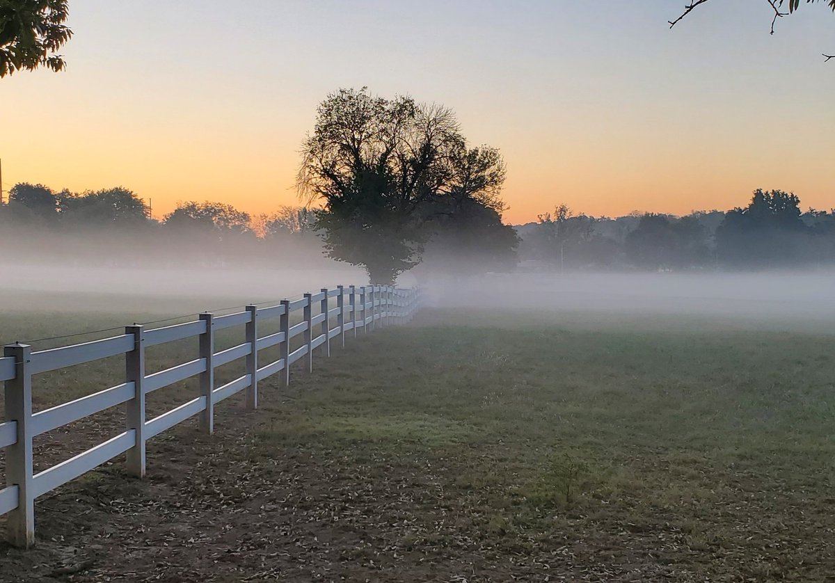 STLRunningTour's tweet photo. I don't often now, but when I do I try to make it count. #GrantsFarm https://t.co/gr7jMS4QRq