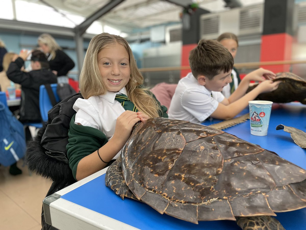 WideySaltram tweet media