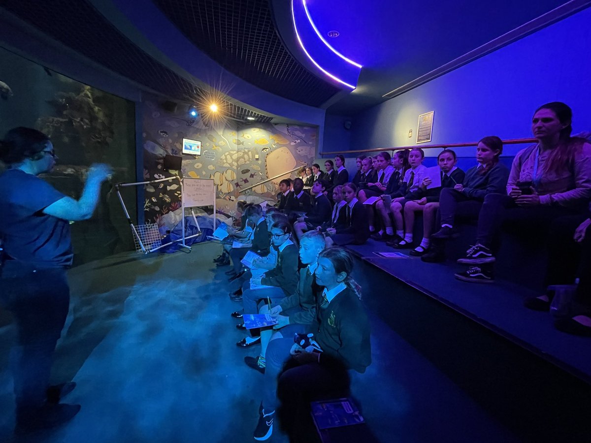 WideySaltram tweet media