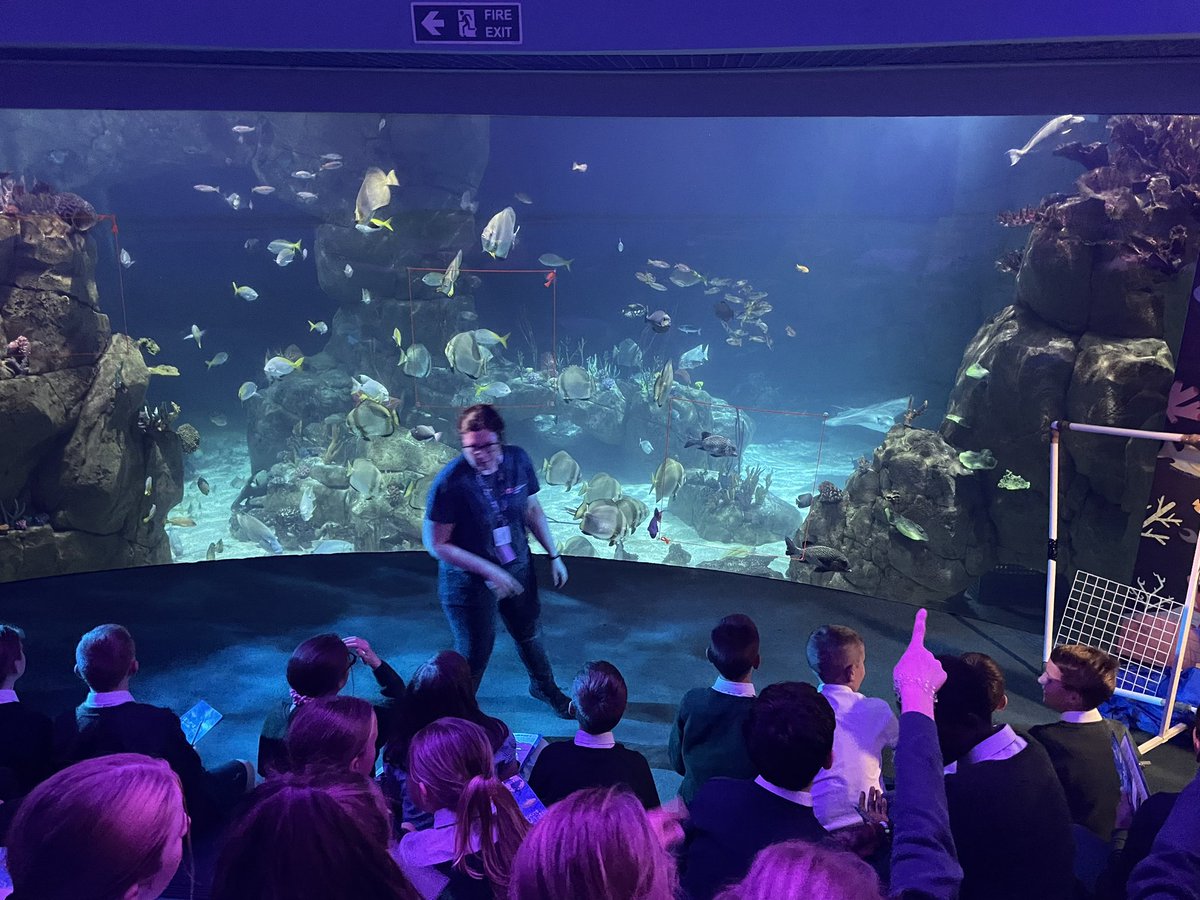 WideySaltram tweet media