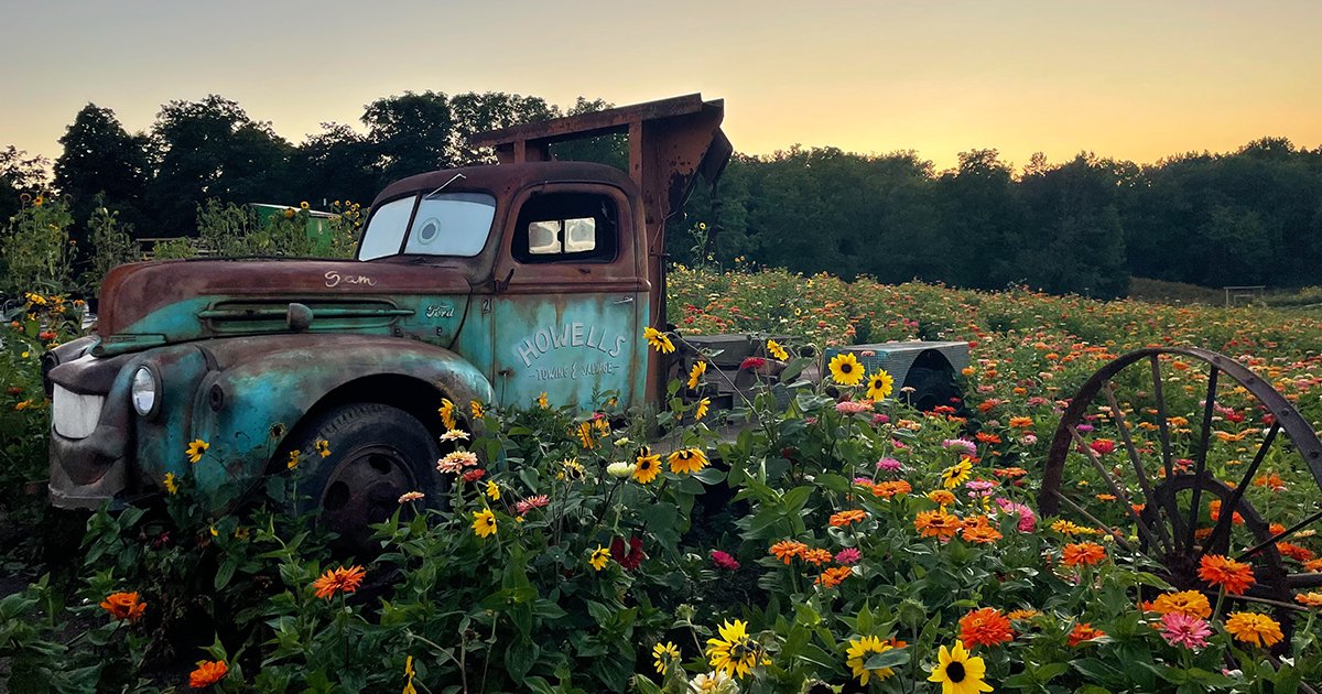 #Niagara Photo of the Week: The sun setting on another beautiful sunflower season at one of many favourite spots in Niagara, Howells Farm.

Thanks for sharing Ingrid Breau, St. Catharines.