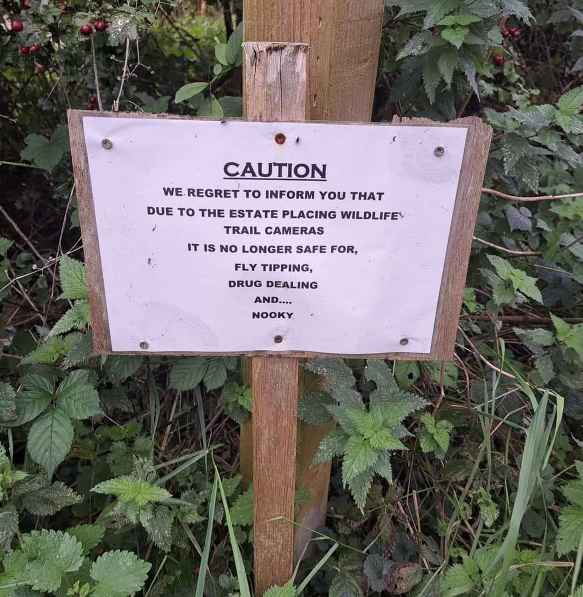 A local community group have put these up - ruining everyone's fun.