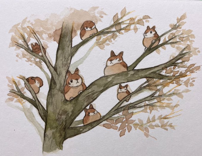 すずめの実が成ってる